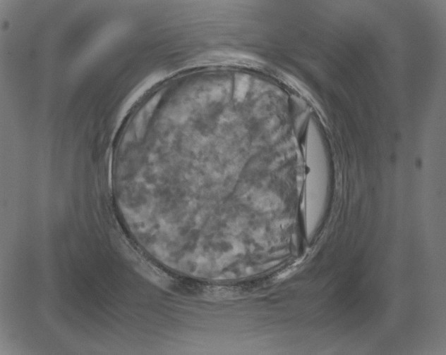 X0000081451275200702092240