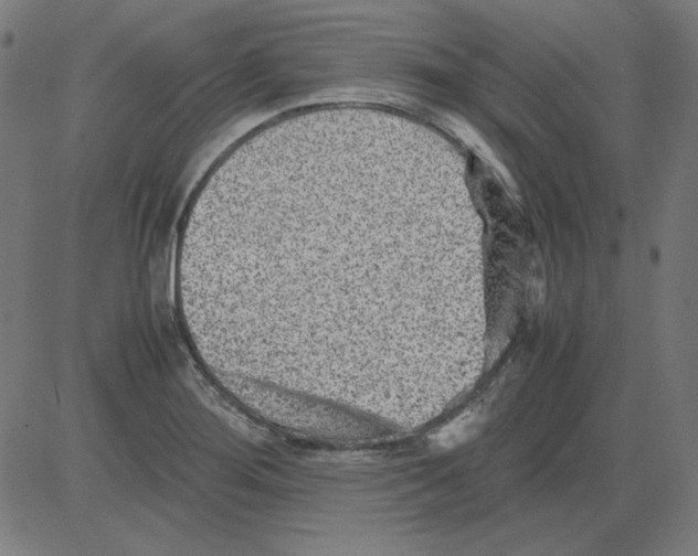 X0000081451276200702092240