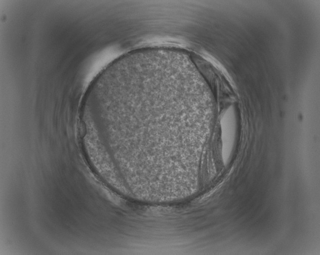 X0000081451277200702092240