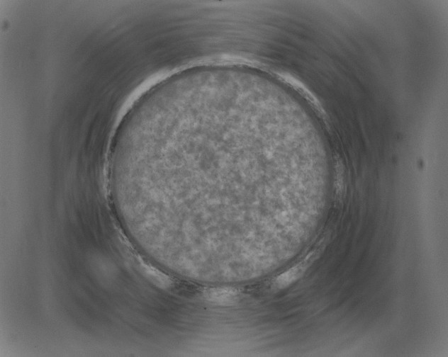 X0000081451278200702092240