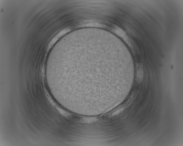X0000081451282200702092240