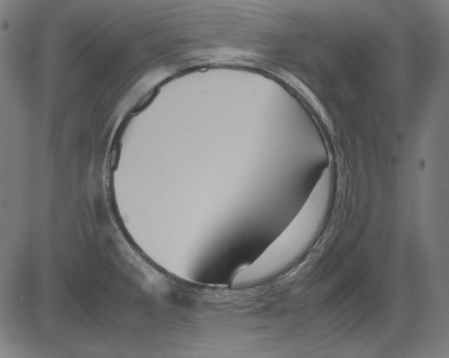 X0000081451285200702092240