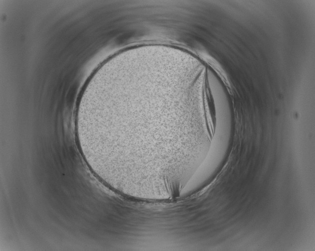 X0000081451288200702092240