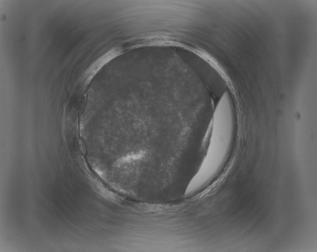 X0000081451289200702092240
