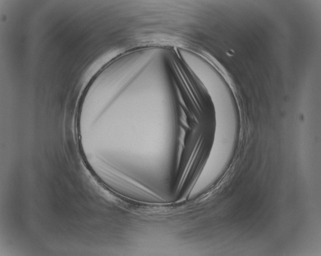 X0000081451293200702092240