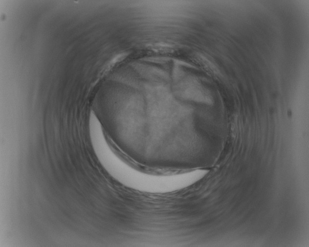X0000081451298200702092239