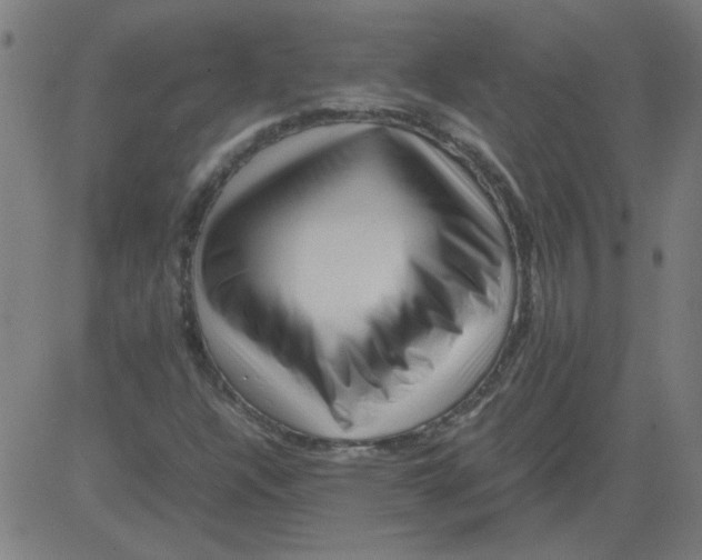 X0000081451304200702092239