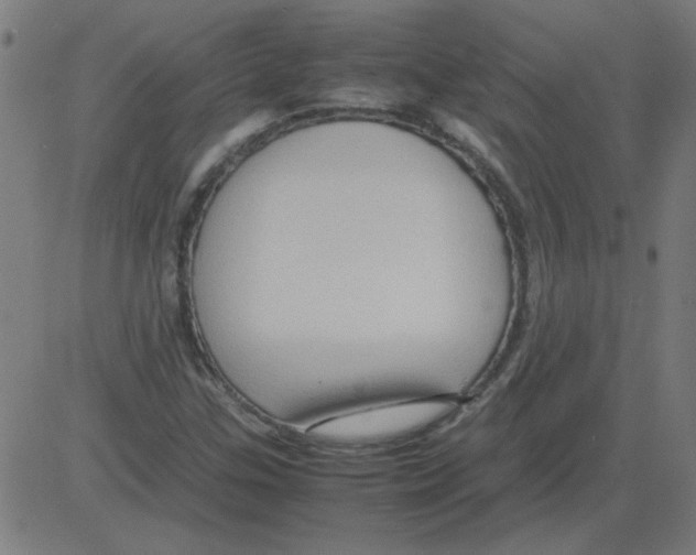 X0000081451307200702092240