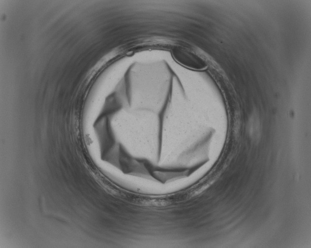 X0000081451321200702092240