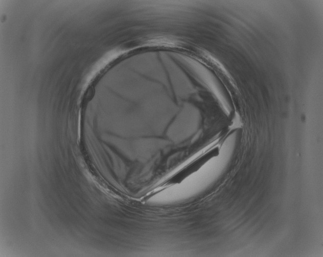 X0000081451323200702092240