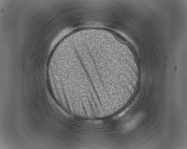 X0000081451325200702092240
