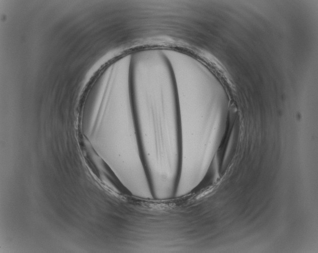 X0000081451326200702092240
