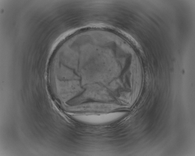 X0000081451327200702092240