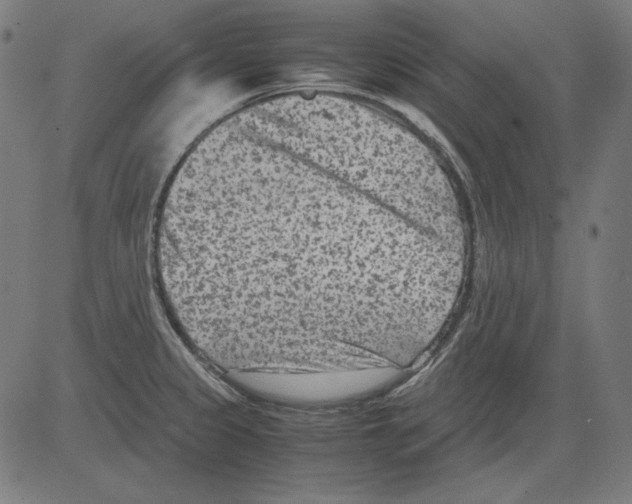 X0000081451333200702092240