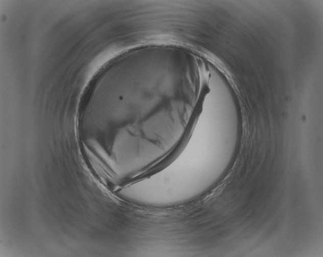 X0000081451334200702092240