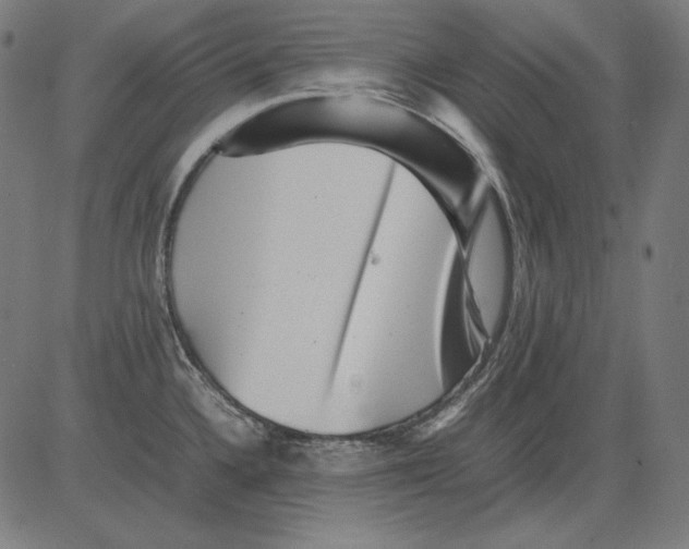 X0000081451336200702092240