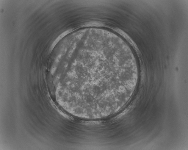 X0000081451337200702092240