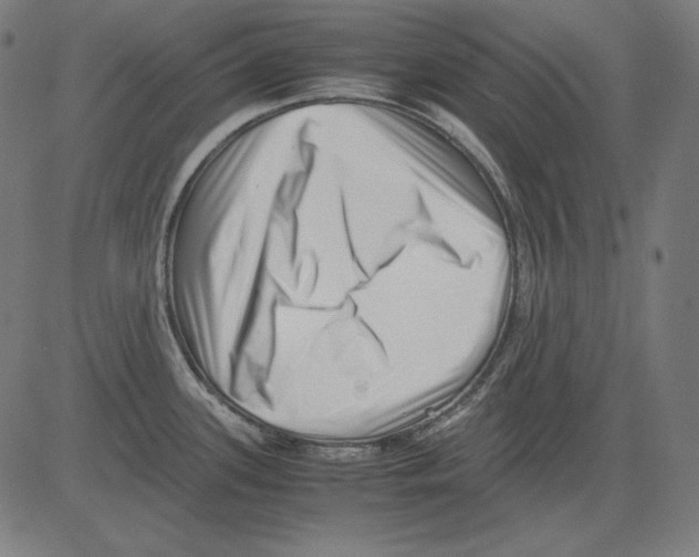 X0000081451339200702092240