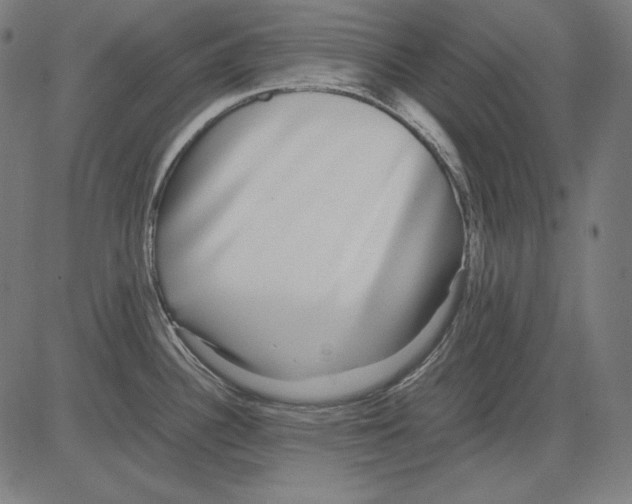 X0000081451340200702092240