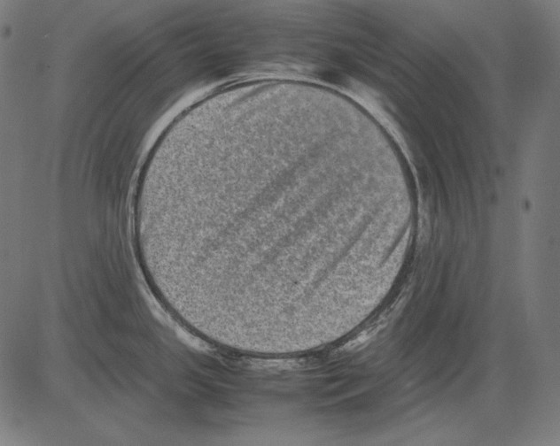 X0000081451341200702092240