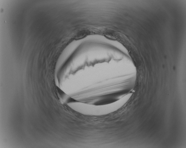 X0000081451345200702092239