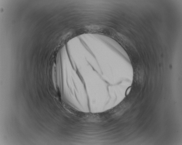 X0000081451346200702092239