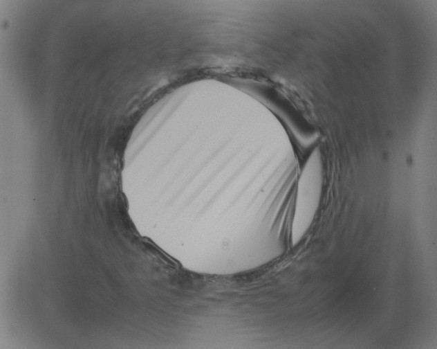 X0000081451349200702092239