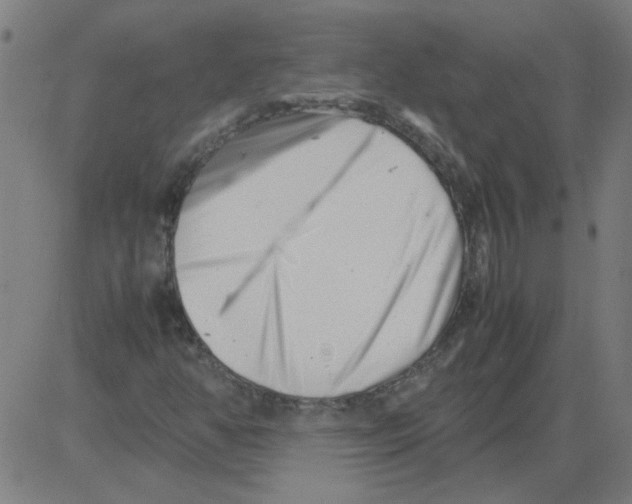 X0000081451350200702092239