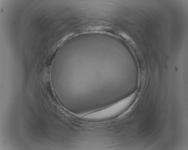 X0000081451353200702092239