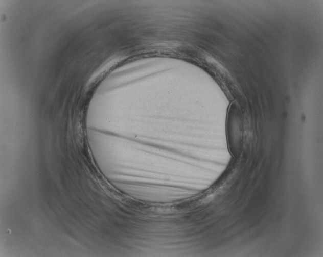 X0000081451354200702092239