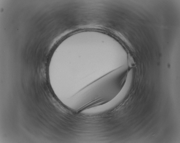 X0000081451356200702092239