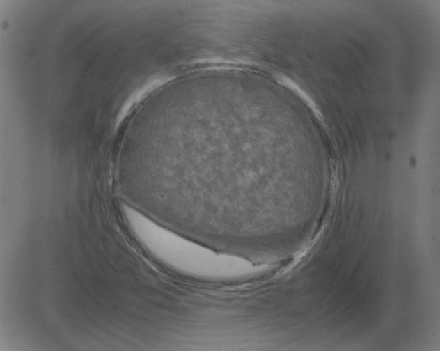 X0000081451357200702092239