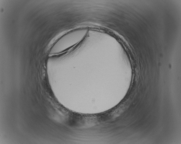 X0000081451363200702092239