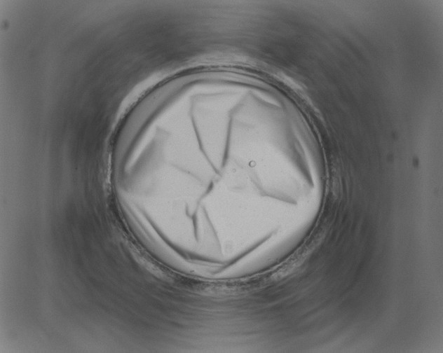 X0000081451366200702092239