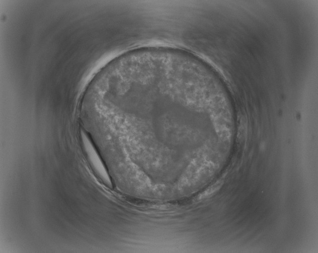 X0000081451367200702092239