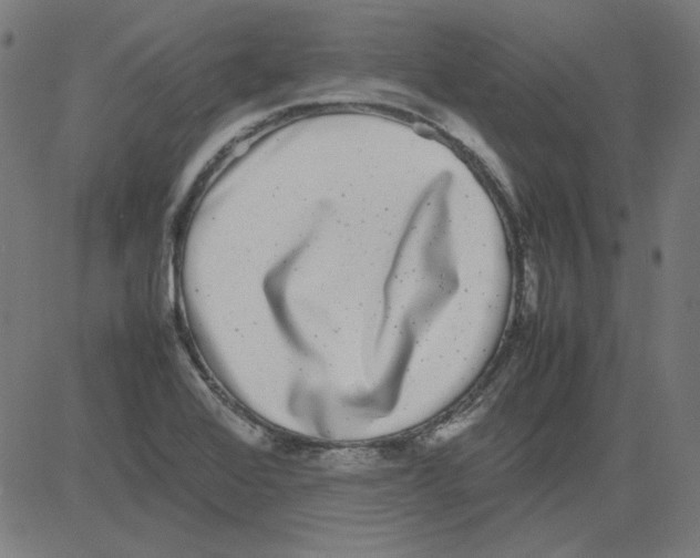 X0000081451368200702092239