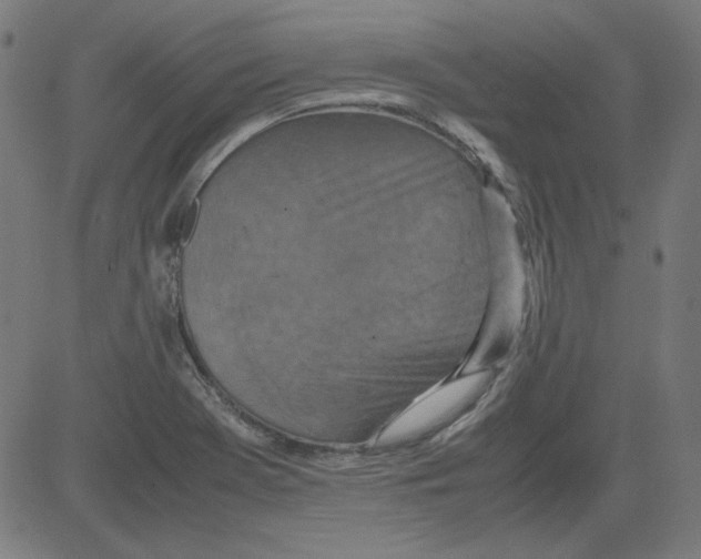 X0000081451369200702092239