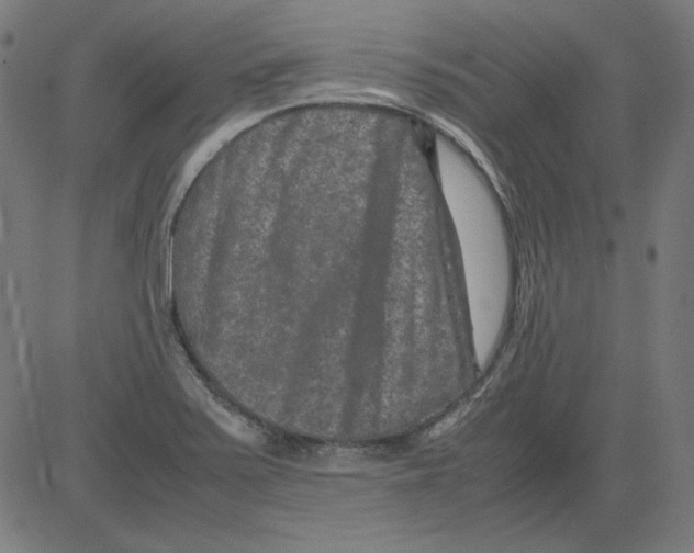 X0000081451371200702092239