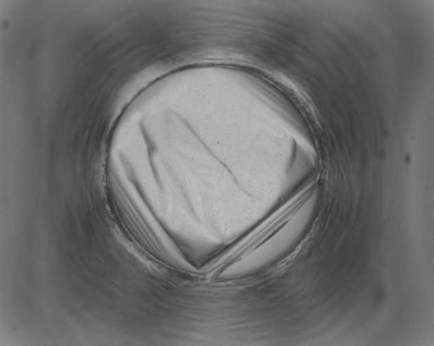 X0000081451374200702092239