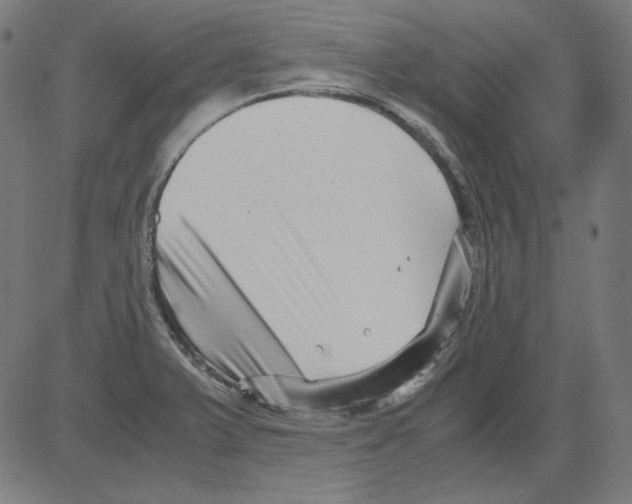 X0000081451375200702092239