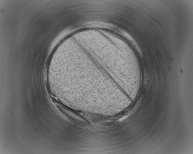 X0000081451376200702092239
