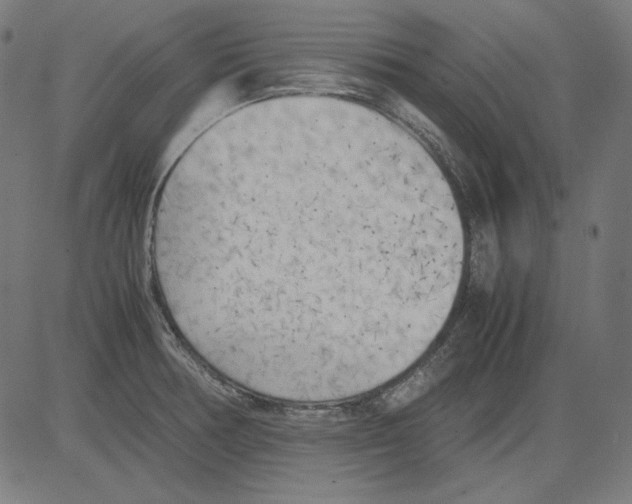X0000081451378200702092239