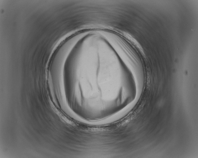 X0000081451380200702092239