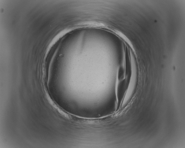 X0000081451381200702092239