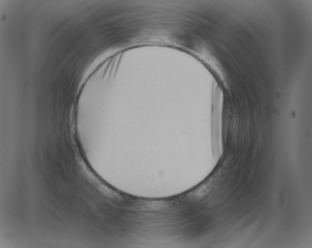 X0000081451382200702092239
