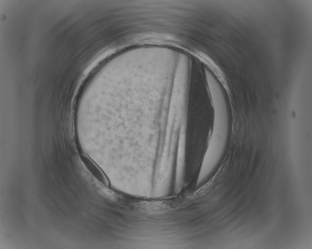 X0000081451384200702092239