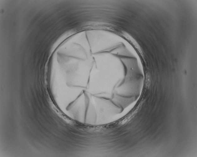 X0000081451386200702092239