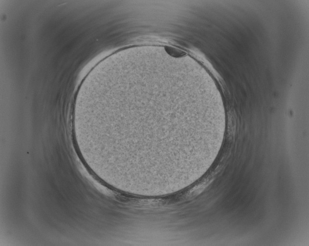 X0000081451387200702092239