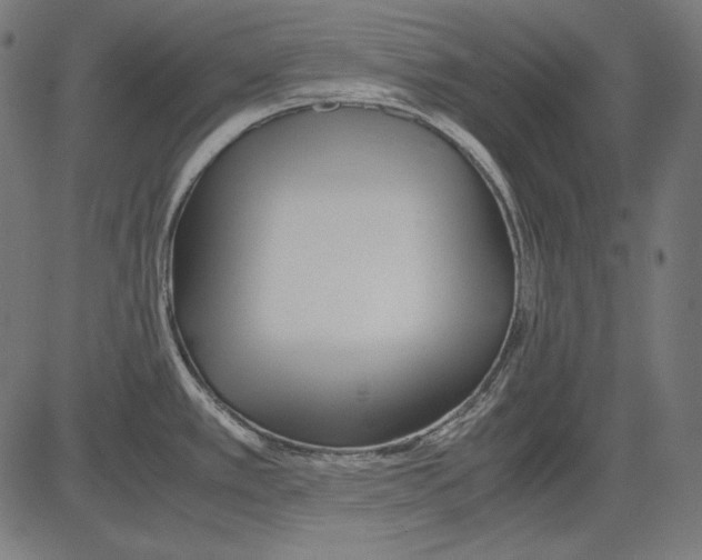 X0000081451389200702092239