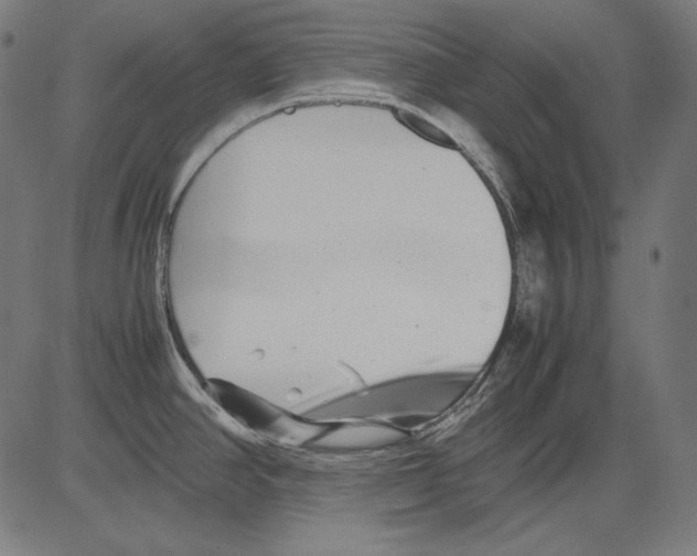 X0000081451390200702092239